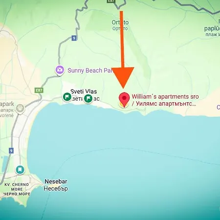 William's - Fifth Amazing