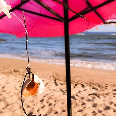 William's - Fifth Amazing