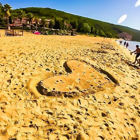 William's - Fifth Amazing Sveti Vlas