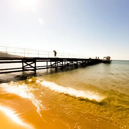 William's - Fifth Amazing Daire *