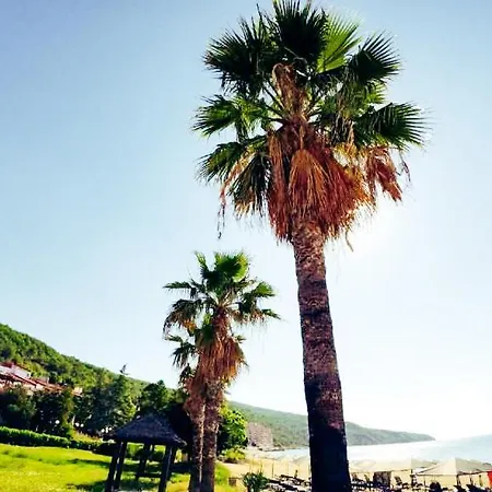 William's - Fifth Amazing Daire Sveti Vlas