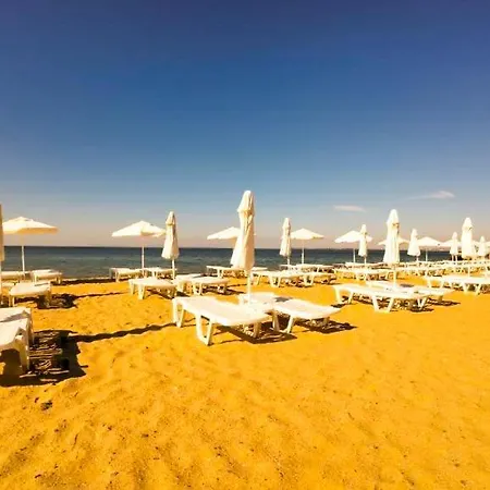 Daire William's - Fifth Amazing