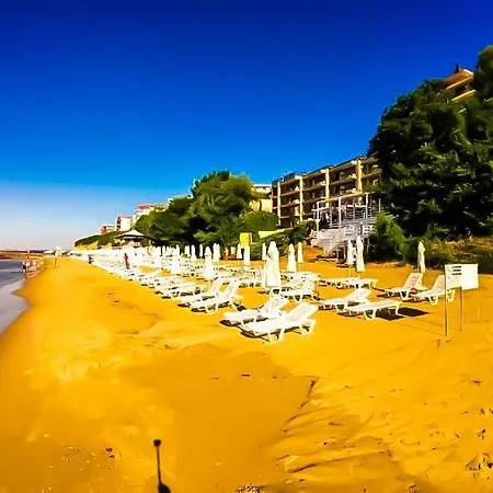 William's - Fifth Amazing Daire *