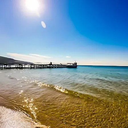 William's - Fifth Amazing Daire