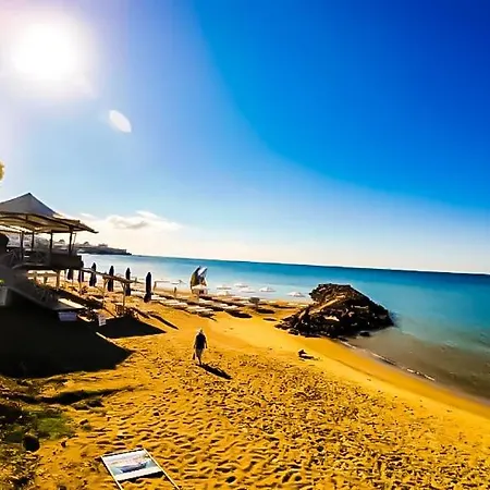 Daire William's - Fifth Amazing