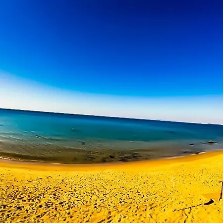 William's - Fifth Amazing Daire *