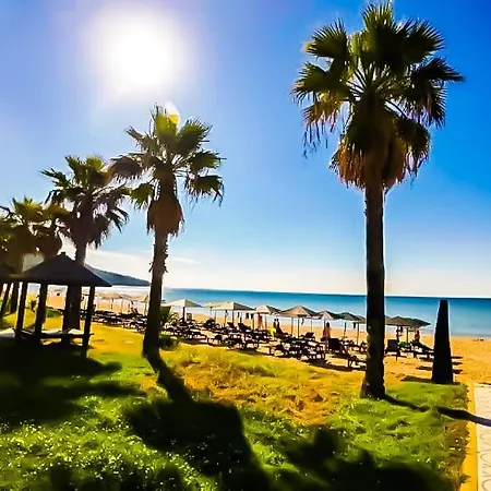 William's - Fifth Amazing *