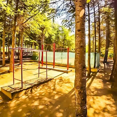 Daire William's - Fifth Amazing