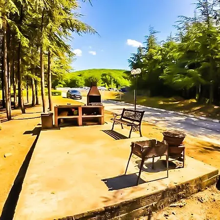 William's - Fifth Amazing Daire *