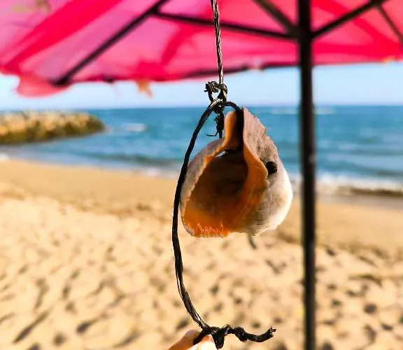 Apartment William's - Fifth Amazing Sveti Vlas