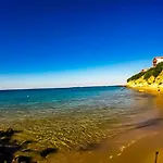 William's - Fifth Amazing سفيتي فلاس