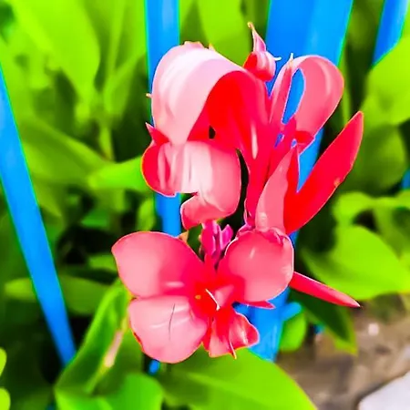 Apartment William's - Fifth Amazing