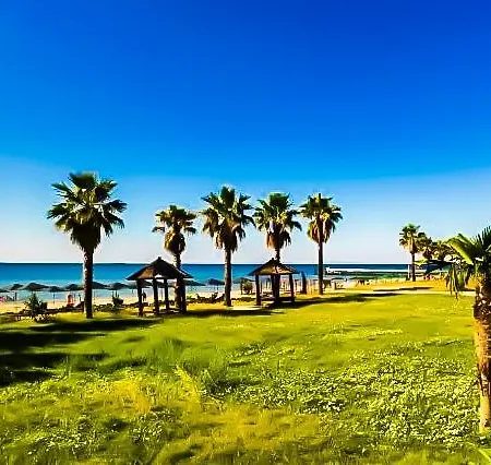 William's - Fifth Amazing * Sveti Vlas