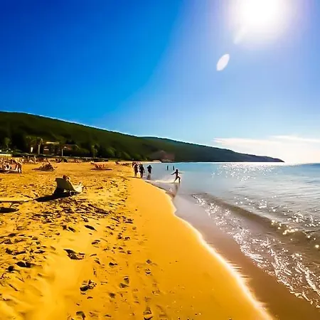 William's - Fifth Amazing Apartment