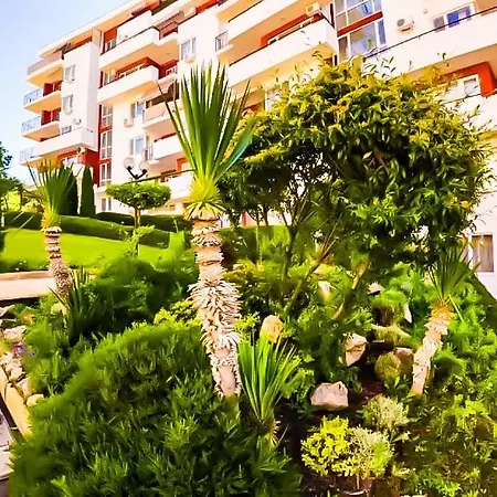 William's - Fifth Amazing *