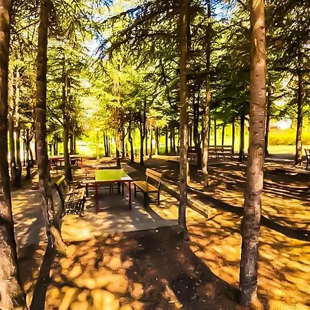 William's - Fifth Amazing Apartment *