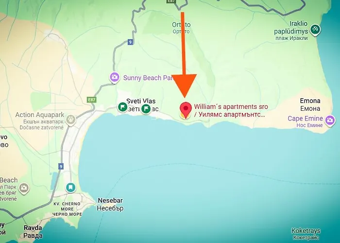 William's - Fifth Amazing