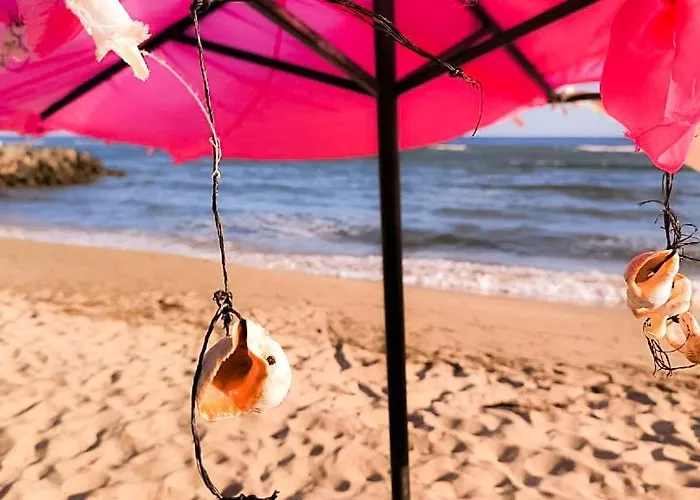 William's - Fifth Amazing